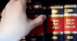 Winter Semester: Torah Studies